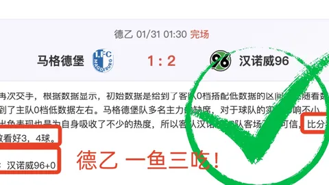 苏丹首都军用飞机失事，损失惨重。