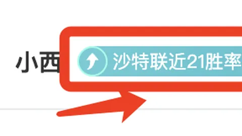 申花奋力拼搏却遭工體逆转，冠军征程愈发坎坷